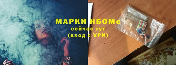 стаф Бородино
