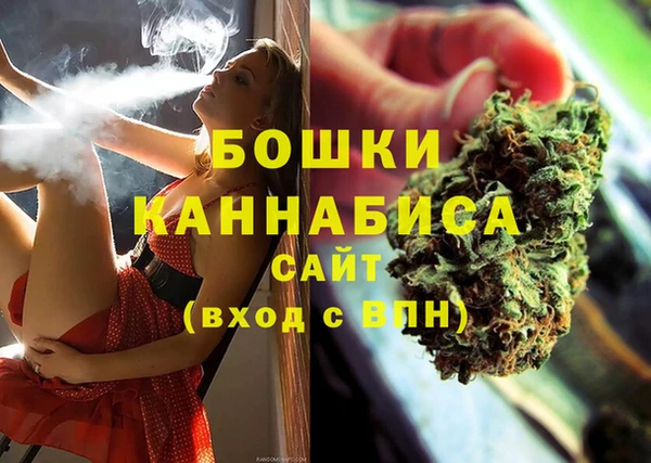 стаф Бородино