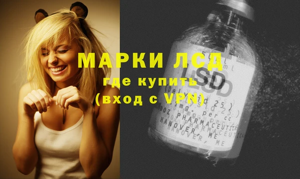 стаф Бородино