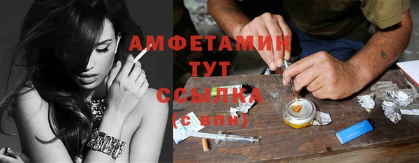 стаф Бородино