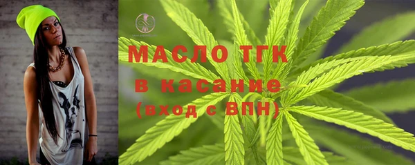 стаф Бородино