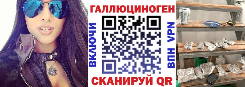 Галлюциногенные грибы Cubensis Купить закладки Алатырь